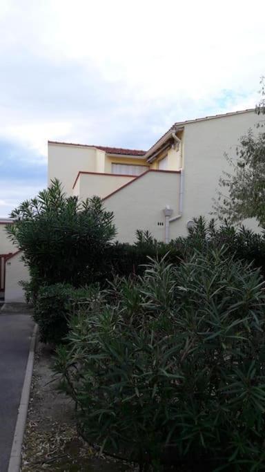 Appartement, Terrasse Barcares, Proche Marche De Noel Le Barcares Exterior photo